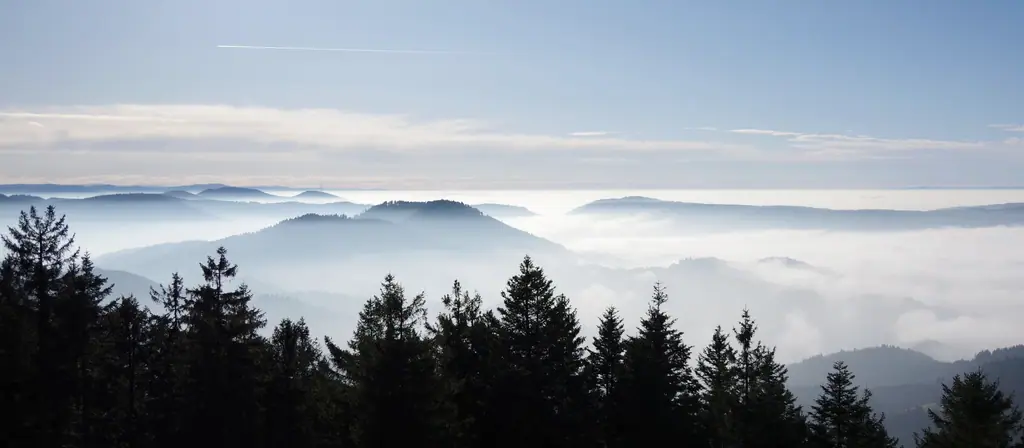 Les collines boisées de la Forêt-Noire dans la brume du matin