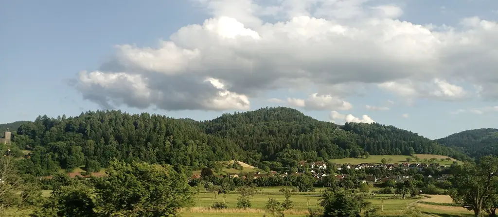 La Forêt-Noire en été, sur la rive badoise du Rhin