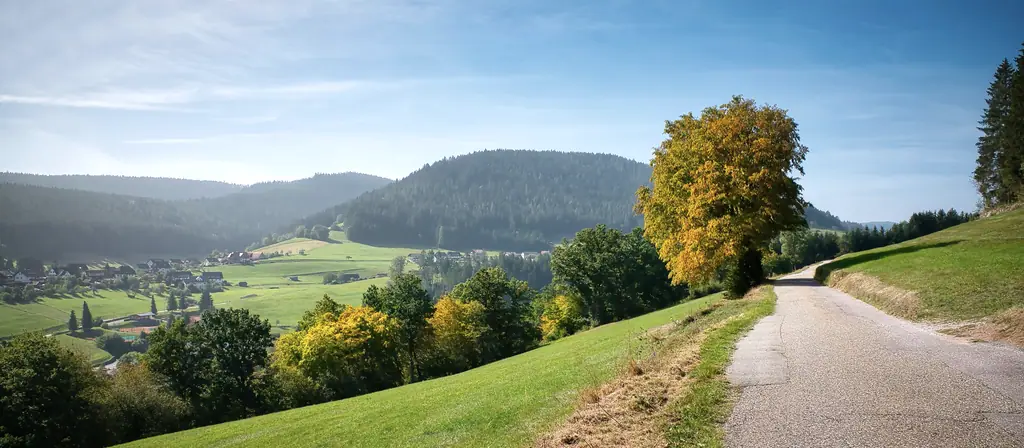 Une route de vallée au soleil, aux abords de Rust