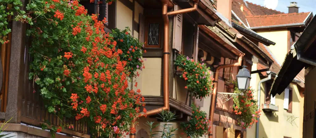 Une rue alsacienne fleurie, typique des villages entre Sélestat et le Rhin